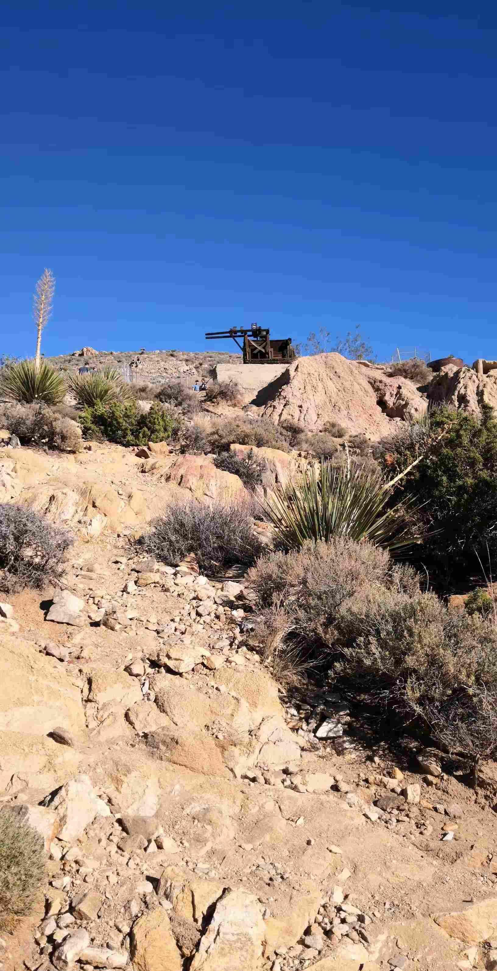 倾听尼山2025|李敬泽：我们是在世界中