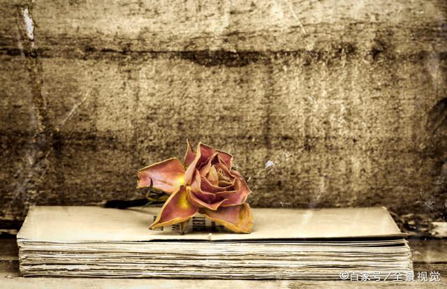 倾听尼山2025|李敬泽：我们是在世界中