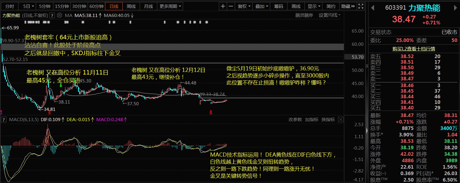 6月9日新股上会动态：三协电机IPO上会通过