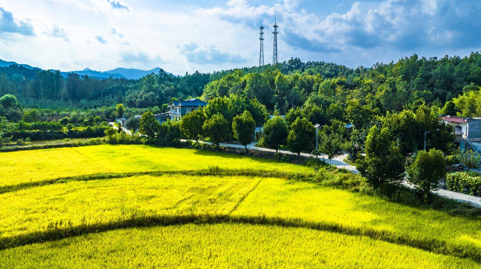 罗 牛 山:截至2025年7月10日股东总户数约为9.41万户