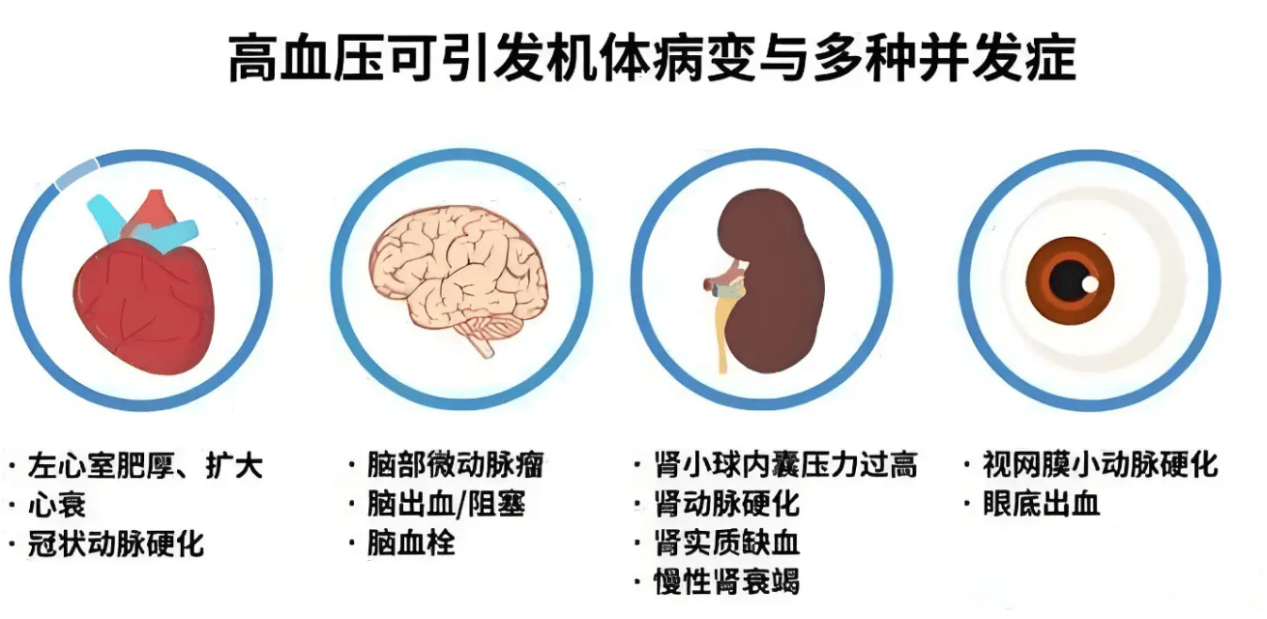 2025中国降压药行业市场全景调研及未来发展趋势预测分析_保险有温度,人保护你周全