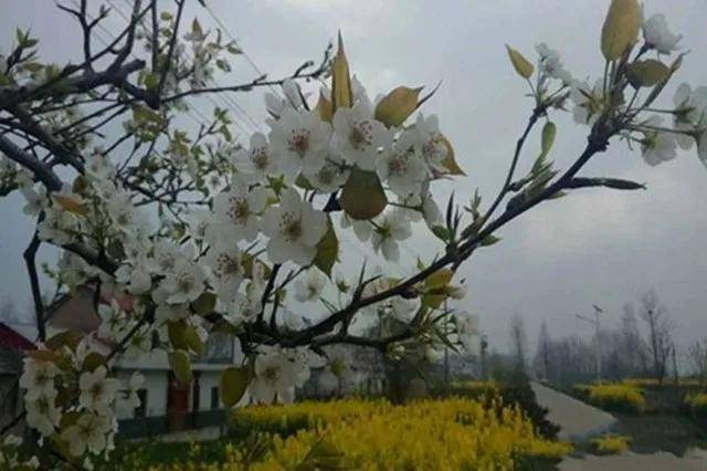 戛纳争议风暴：奖项荣耀背后，评审机制遭遇信任危机