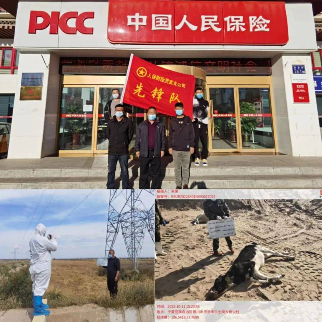 2025年阿胶行业发展前景预测及产业调研报告_人保服务 ,人保财险 