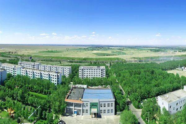 中泰化学获得实用新型专利授权：“密闭电石炉连续自焙电极消耗监测装置”