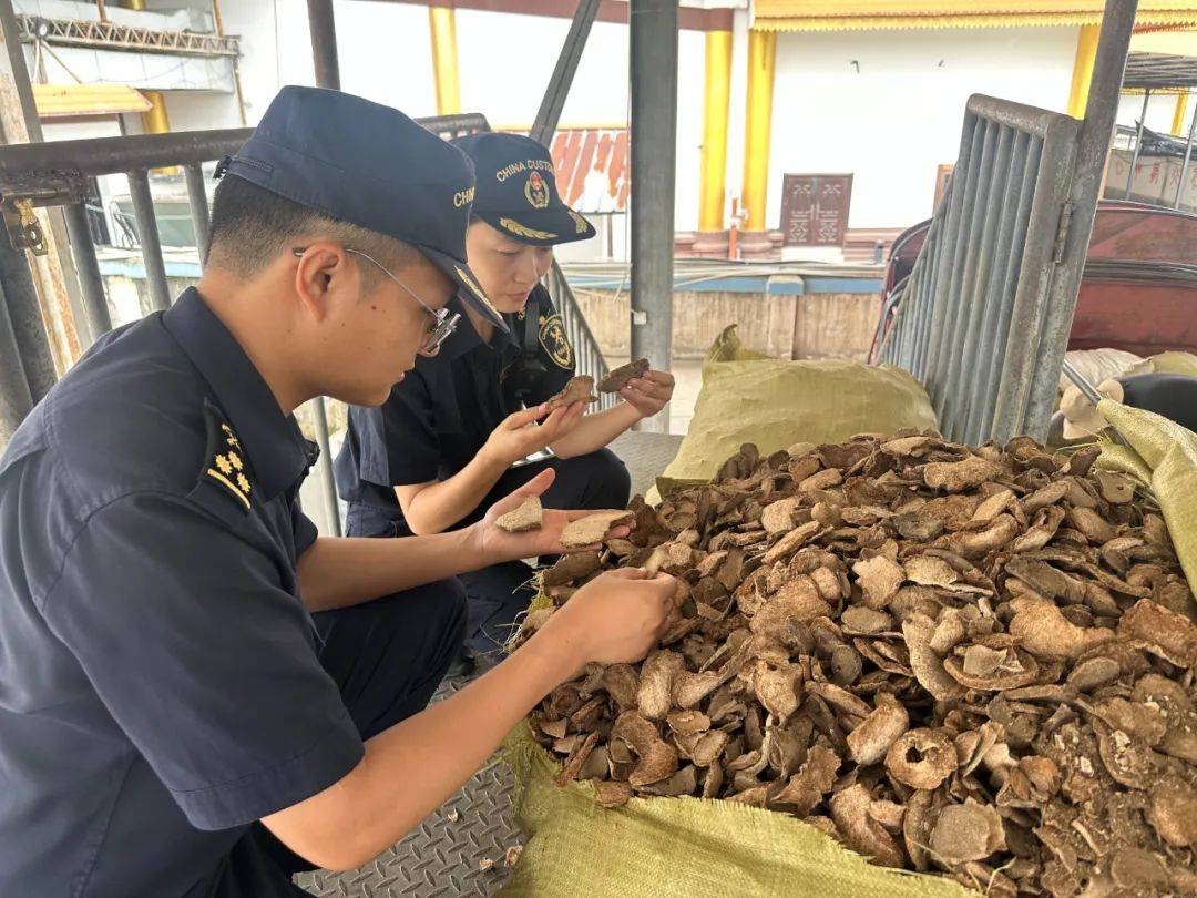 2025脱水蔬菜产业：逐渐成为食品市场上的热门产品_人保服务 ,人保车险