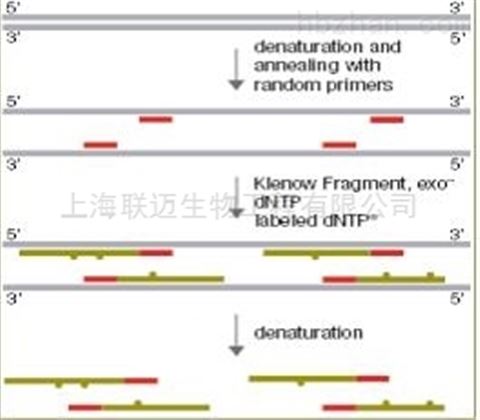京东方Ａ获得发明专利授权：“引物探针组及其应用、试剂盒及其检测方法和应用”