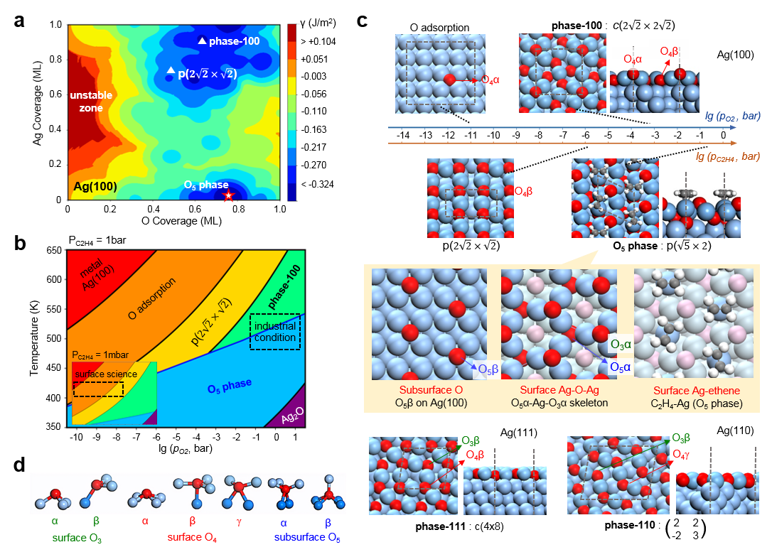 倾听尼山2025|汉伊理：使人工智能成为推动文明共生的催化剂