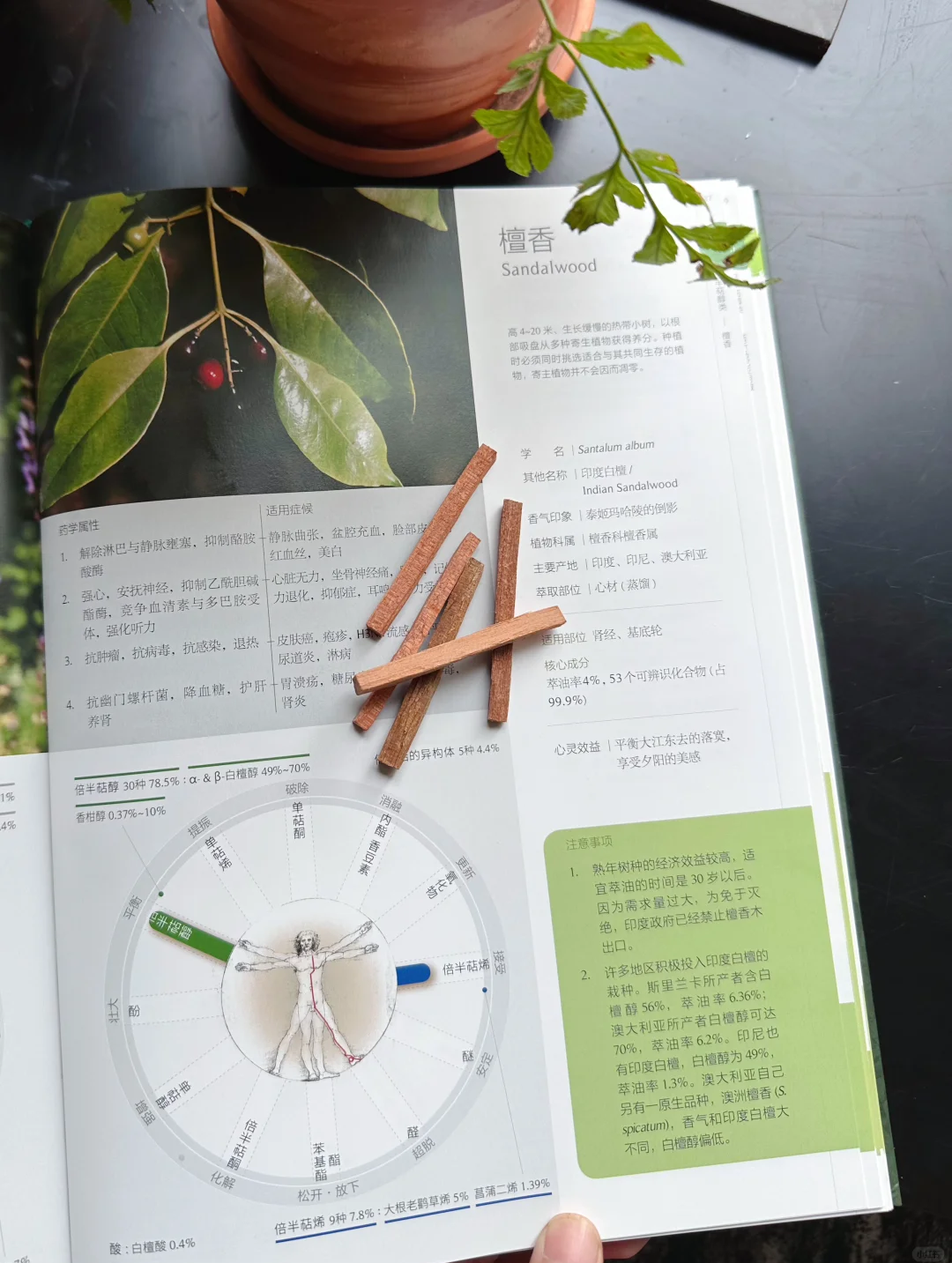 人保服务,拥有“如意行”驾乘险，出行更顺畅！_2025年中国檀香树种植行业：檀香精油与制药领域的投资潜力