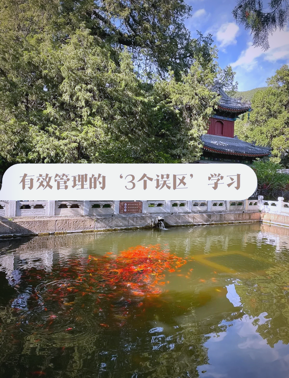 陈春花：企业管理整体论及7个基本原理