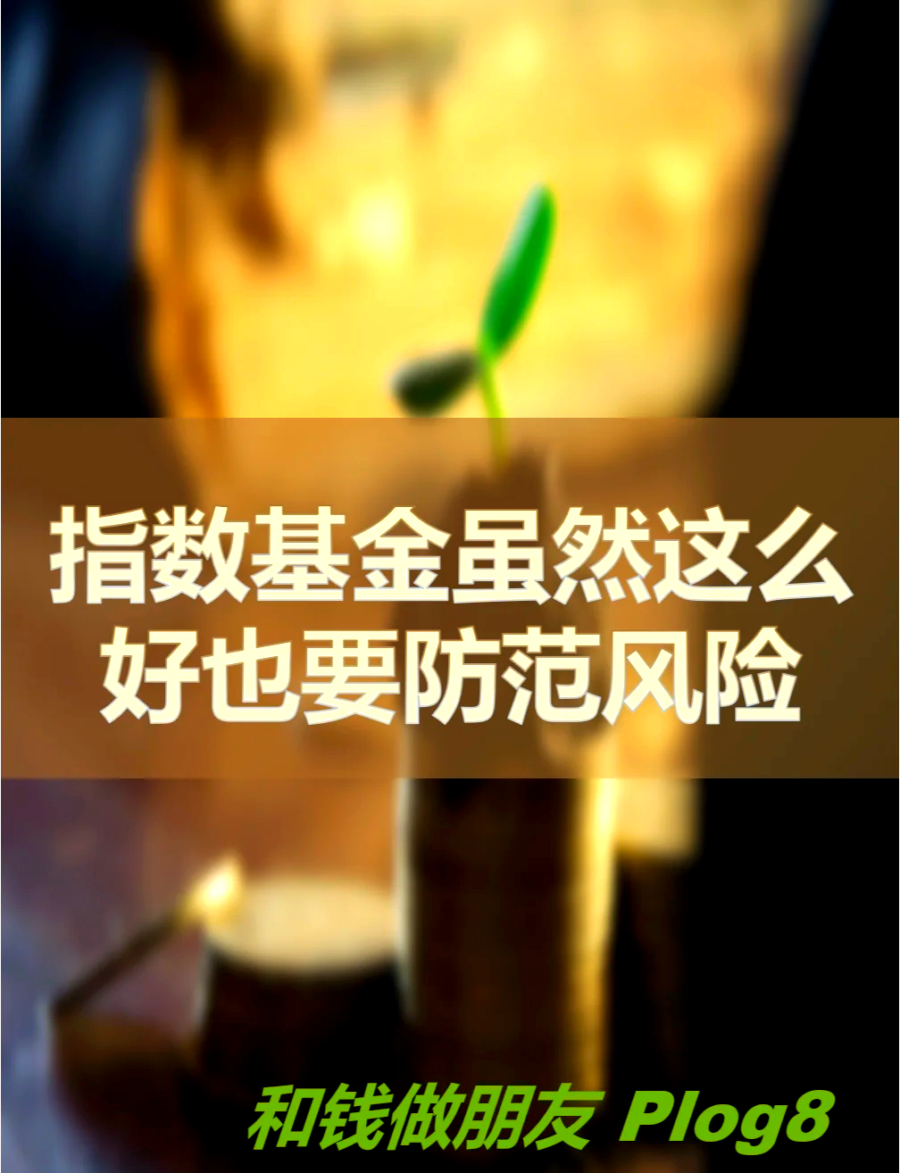 活跃行情下的基金投资众生相