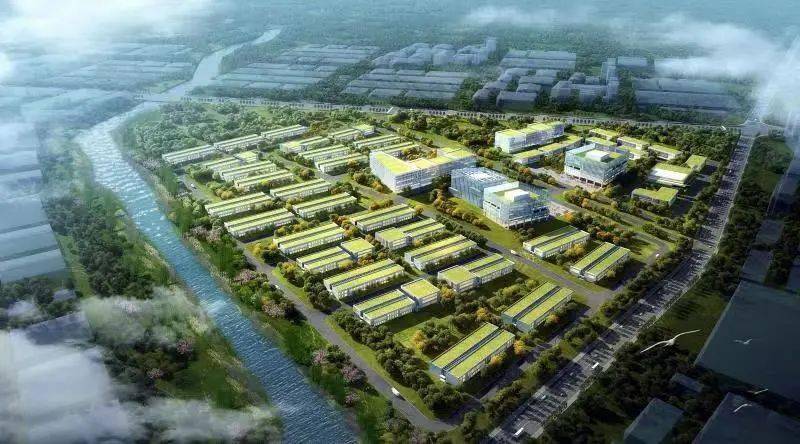中国省级“双碳”指数报告：中国绿色低碳转型展现强大韧性