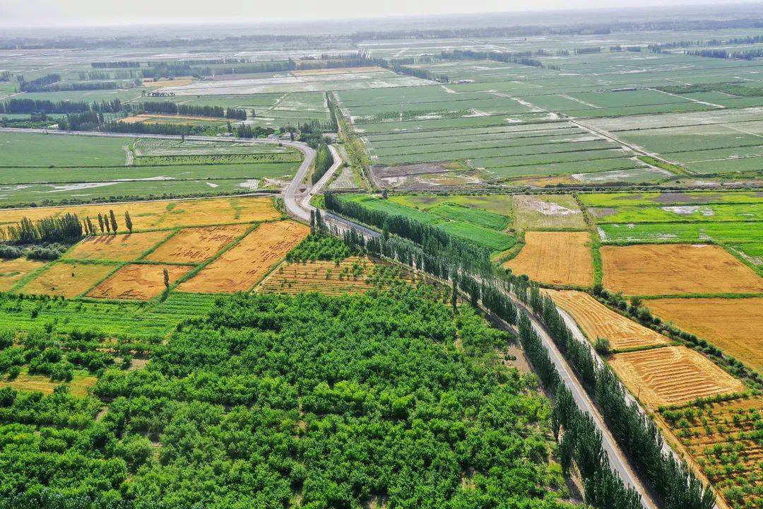 中交设计：积极参与和推动新一轮农村公路提升行动