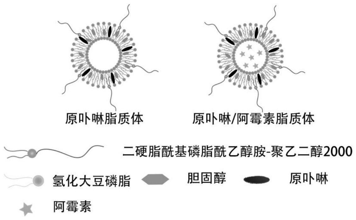 金发科技公布国际专利申请：“一种聚酰胺组合物及其制备方法和应用”