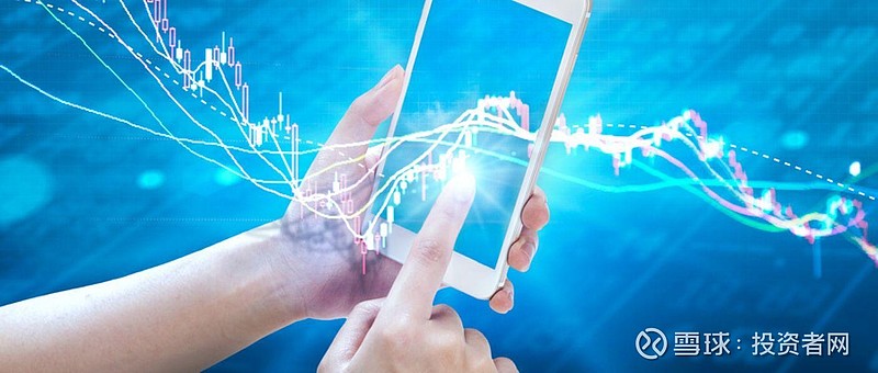 虚拟资产投资乱象调查