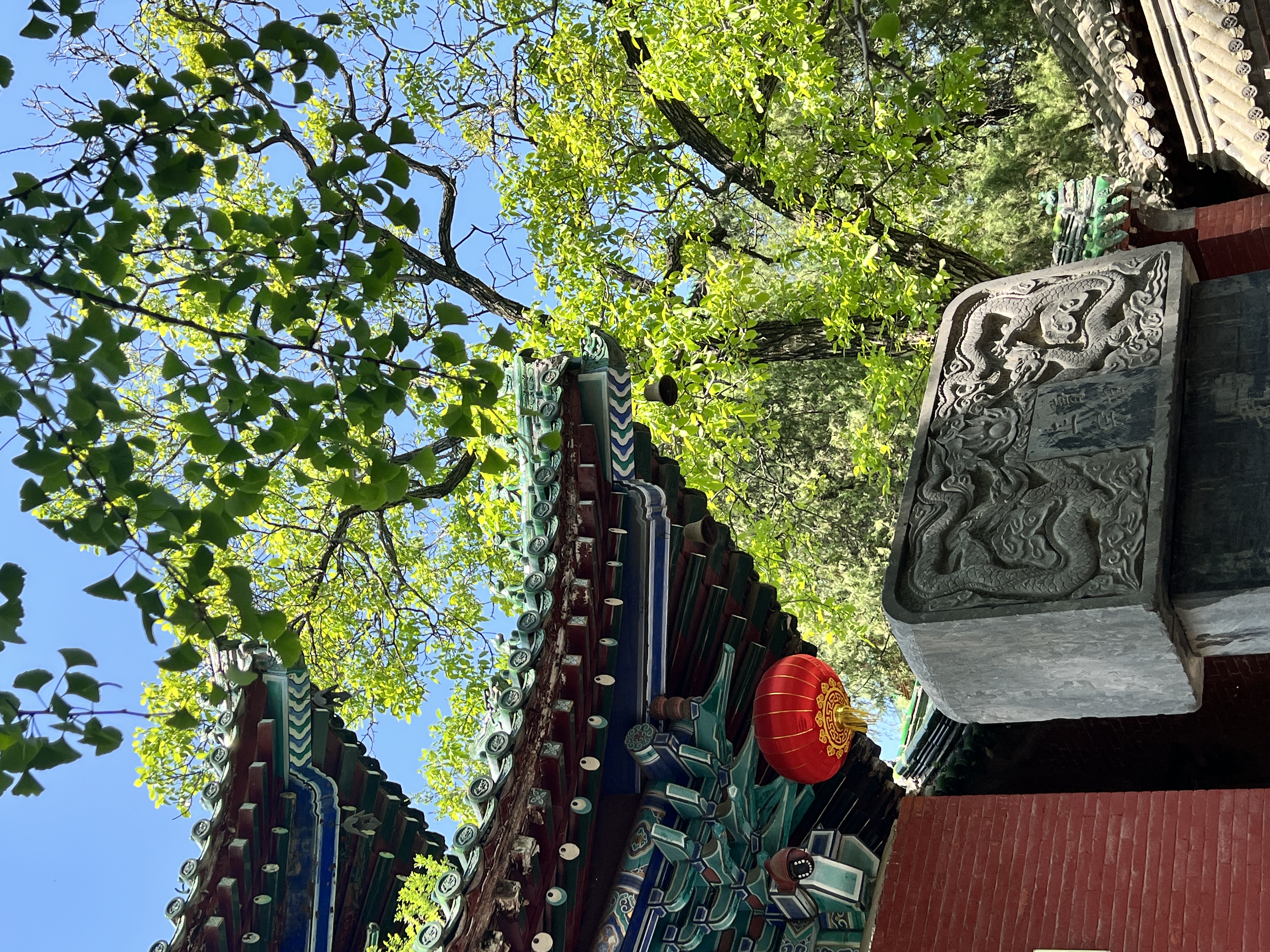 “美国弟子”眼中的少林寺