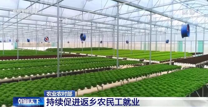 农业农村部持续强化网络售种专项整治