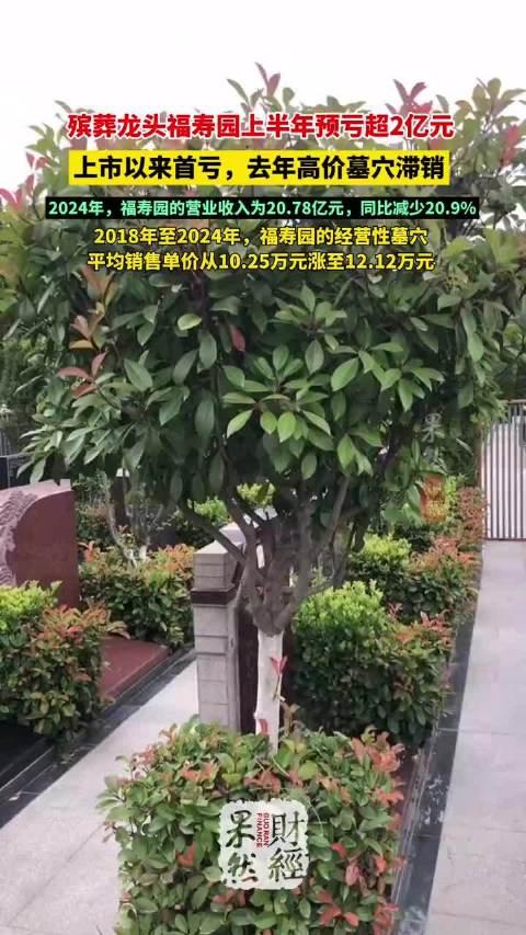 药易购半年报首现亏损 创始人李燕飞已“退居二线”