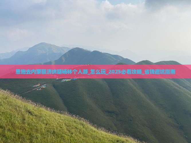 2025-2030加油站建设行业投资“避坑指南”:风险、趋势与高潜力赛道_人保服务 ,人保护你周全