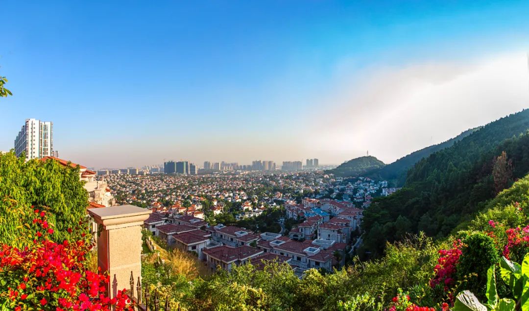 江苏雷利上半年收入同比增长20.71% 多元化布局见成效