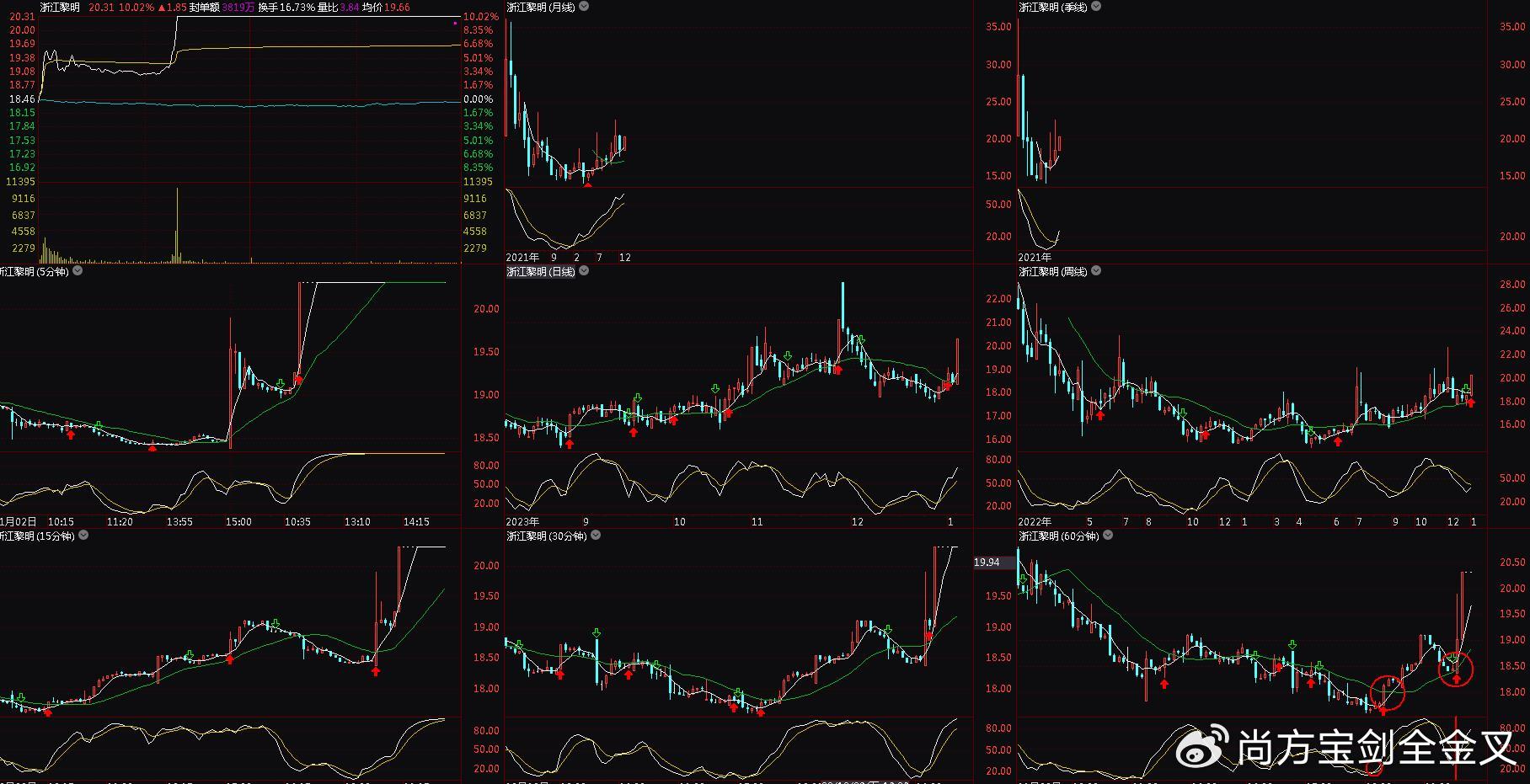 浙江黎明（603048）2025年中报简析：营收净利润同比双双增长，公司应收账款体量较大