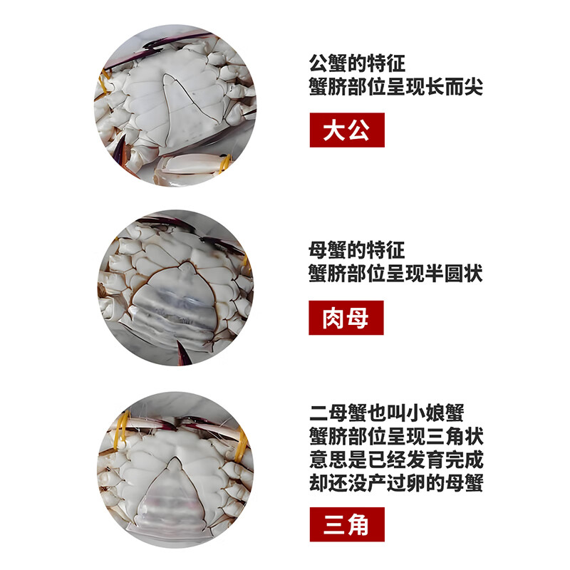 京东物流升级海鲜保障