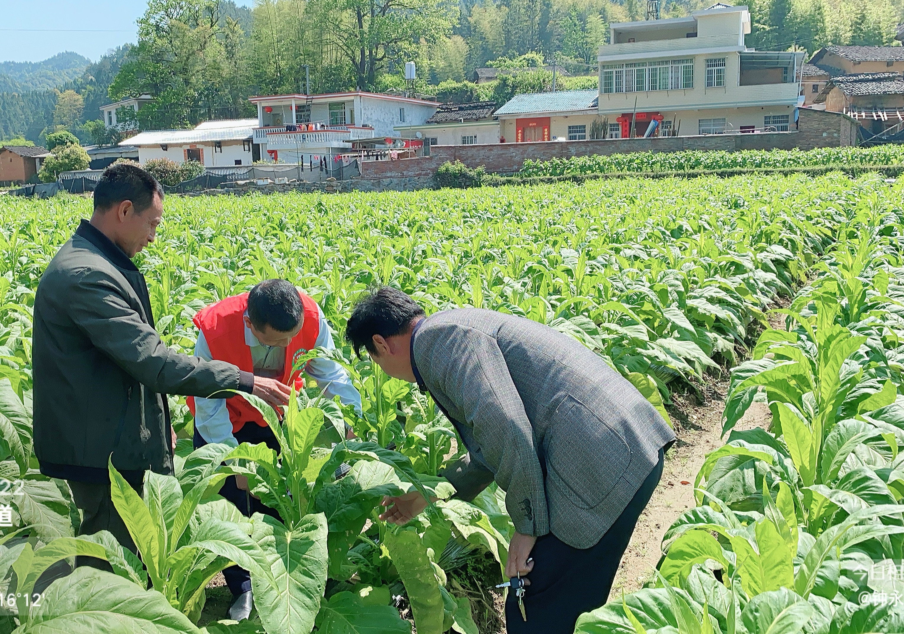 2025中国烟草制品行业市场调查分析及发展现状调研_人保服务,人保财险 