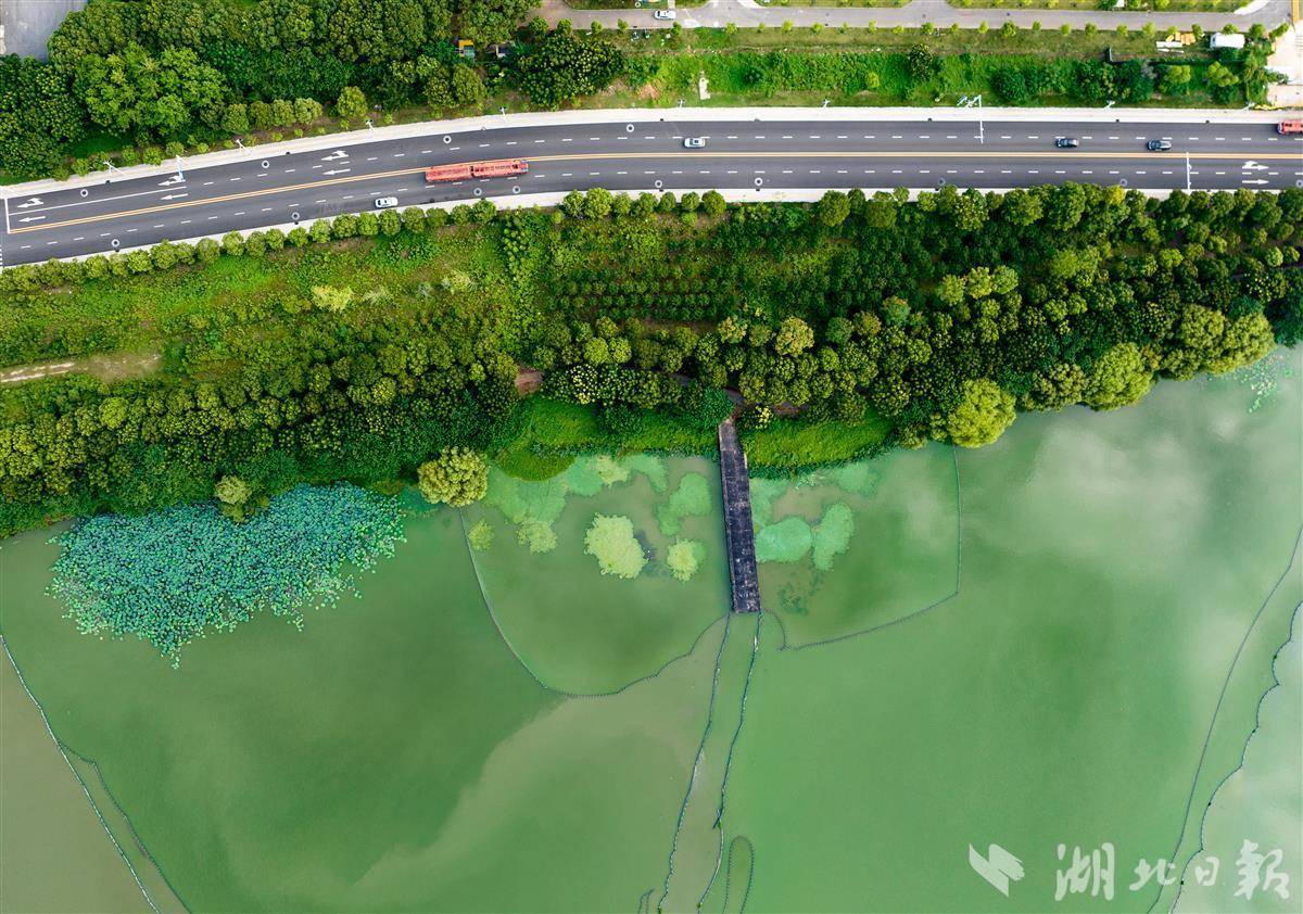 人保服务,拥有“如意行”驾乘险，出行更顺畅！_学生校服行业现状与发展趋势分析2025