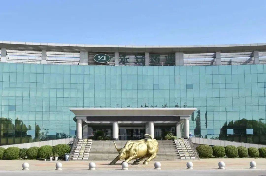 永安药业(002365.SZ)：实控人、董事长陈勇解除留置