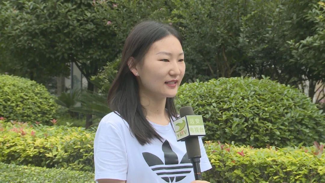 技术筑基+绿色转型 北交所上市公司多维谋发展