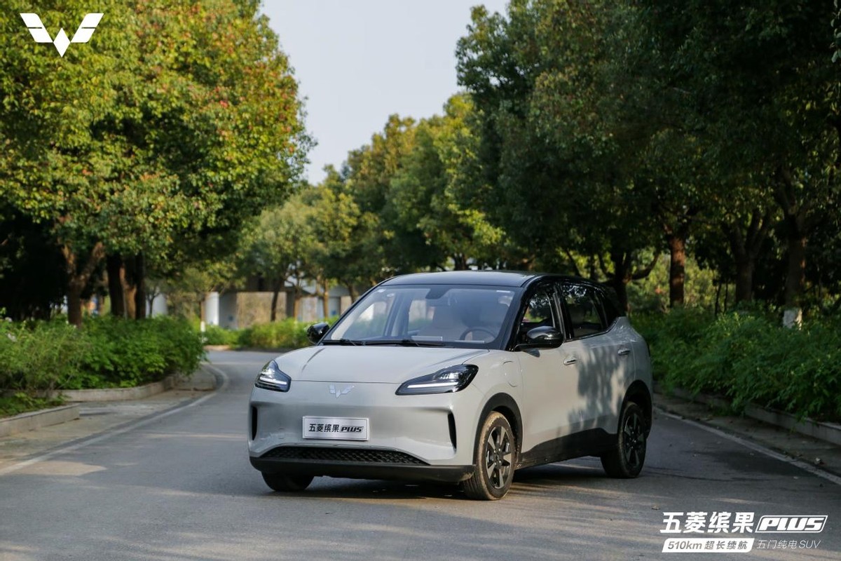 五菱守卫基盘市场:缤果S迎战A0级电动车“下沉潮”
