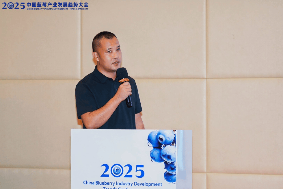 2025蓝莓行业市场发展现状及供需格局、投资价值分析_保险有温度,拥有“如意行”驾乘险，出行更顺畅！