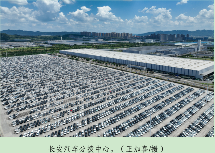 慧择第二季度营收3.97亿元 同比增长40%