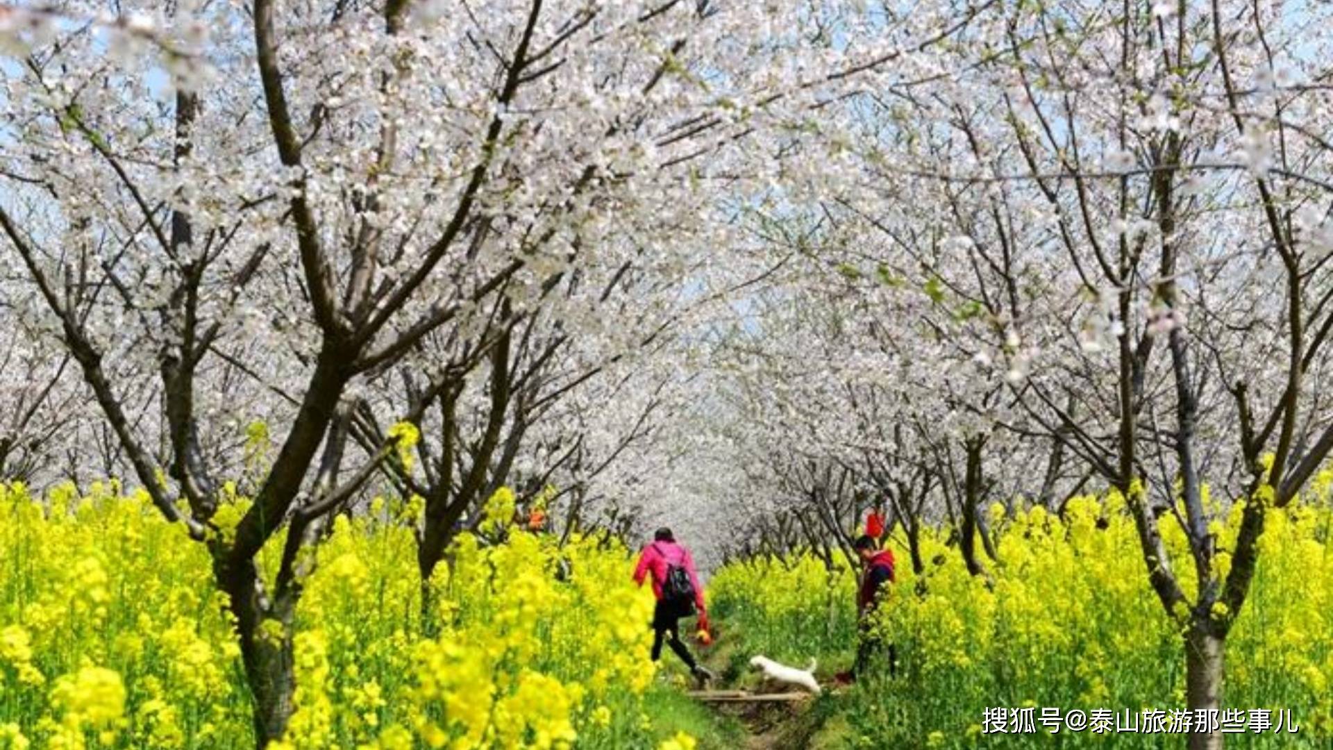 商务部等9部门：探索设置中小学春秋假 增加旅游出行等服务消费时间