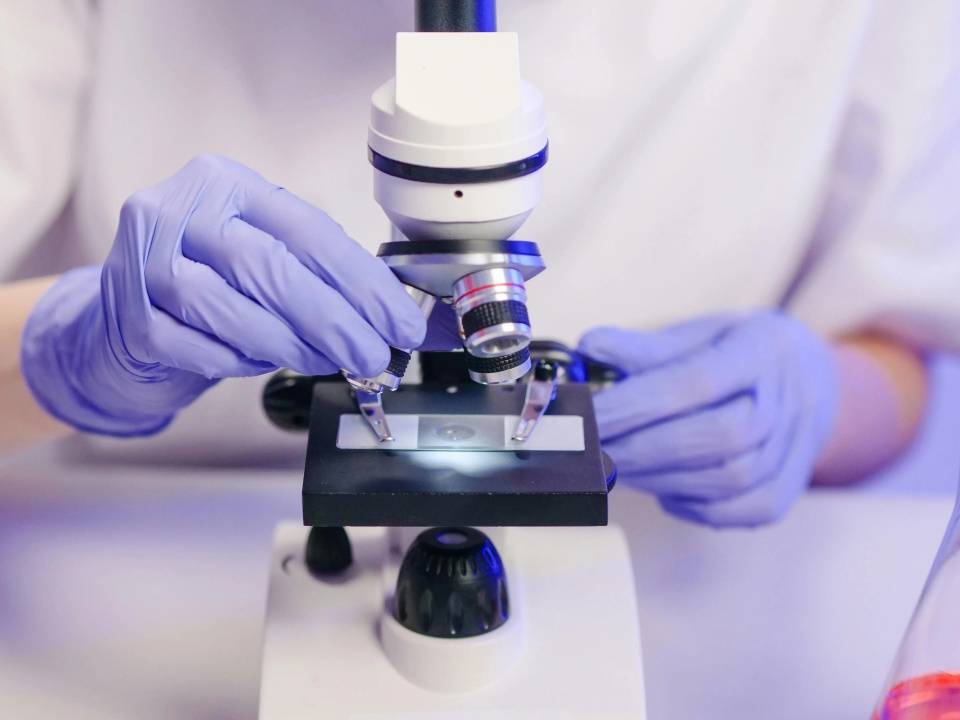 仅三生物：以合成生物技术解锁麦角硫因的“抗氧化黄金”密码