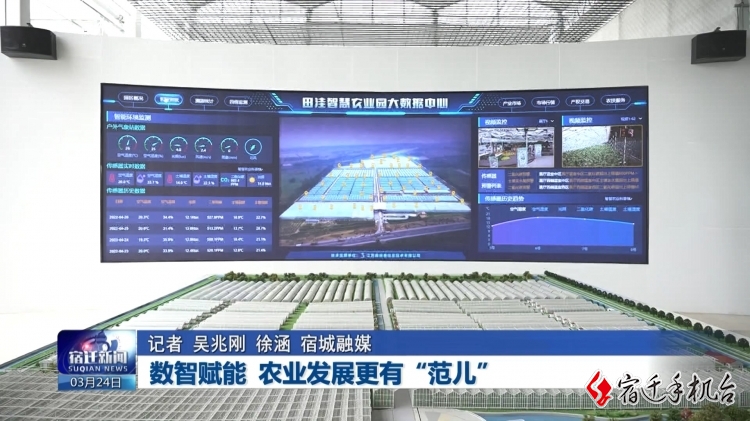 贵州织金：科技赋能农业 五万亩南瓜采收驶入“快车道”