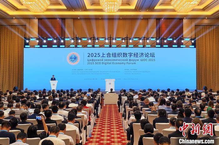 2025中国民营企业投融资洽谈会在天津开幕