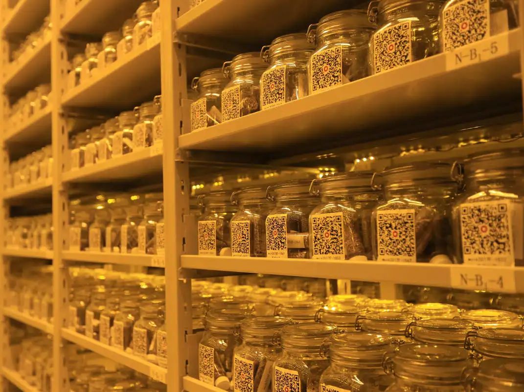 蒙草生态获得实用新型专利授权：“一种撒播种子胶囊”