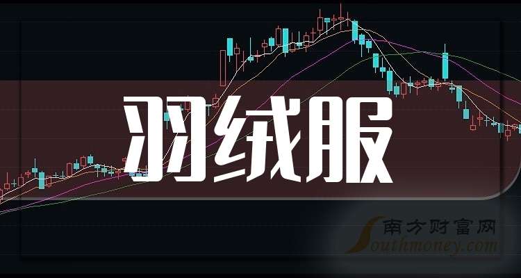 2025中国羽绒服市场深度调研与供需评估、趋势分析_人保伴您前行,拥有“如意行”驾乘险，出行更顺畅！