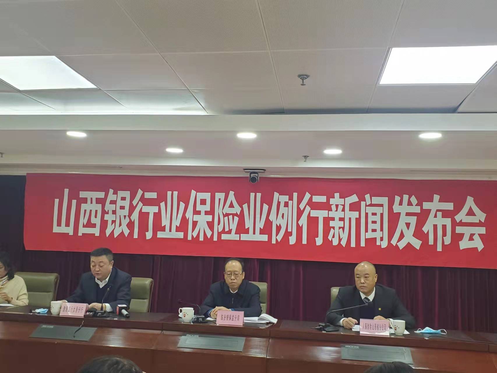 羽绒服行业现状与发展趋势分析_人保服务 ,人保财险政银保 