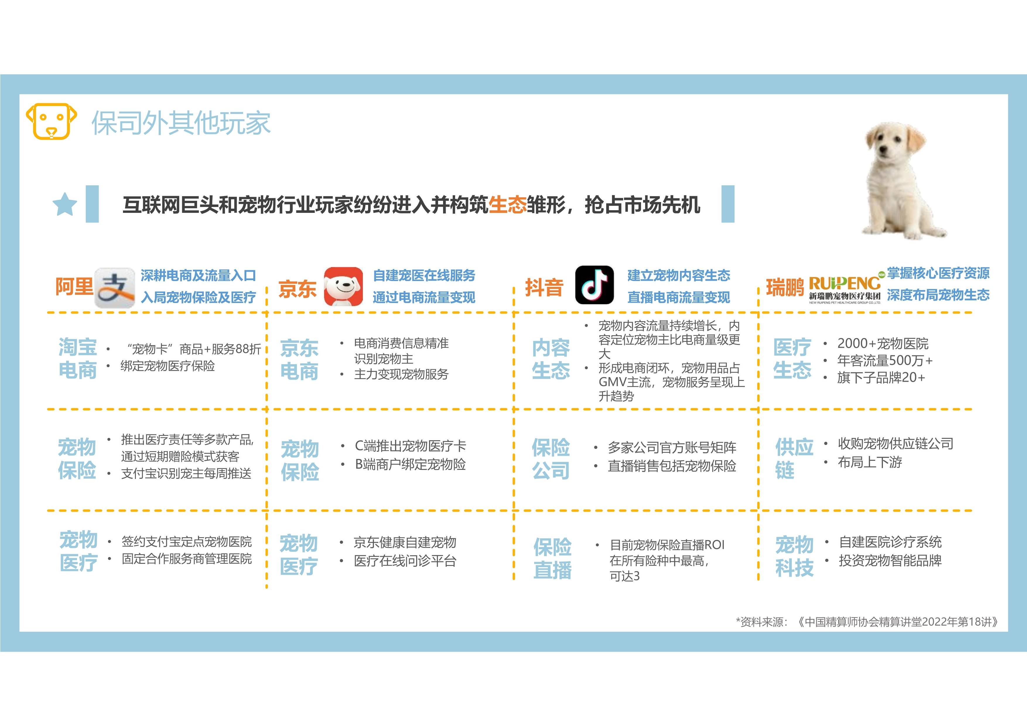 2025中国宠物用品行业竞争格局及市场规模、发展趋势预测_人保伴您前行,人保护你周全