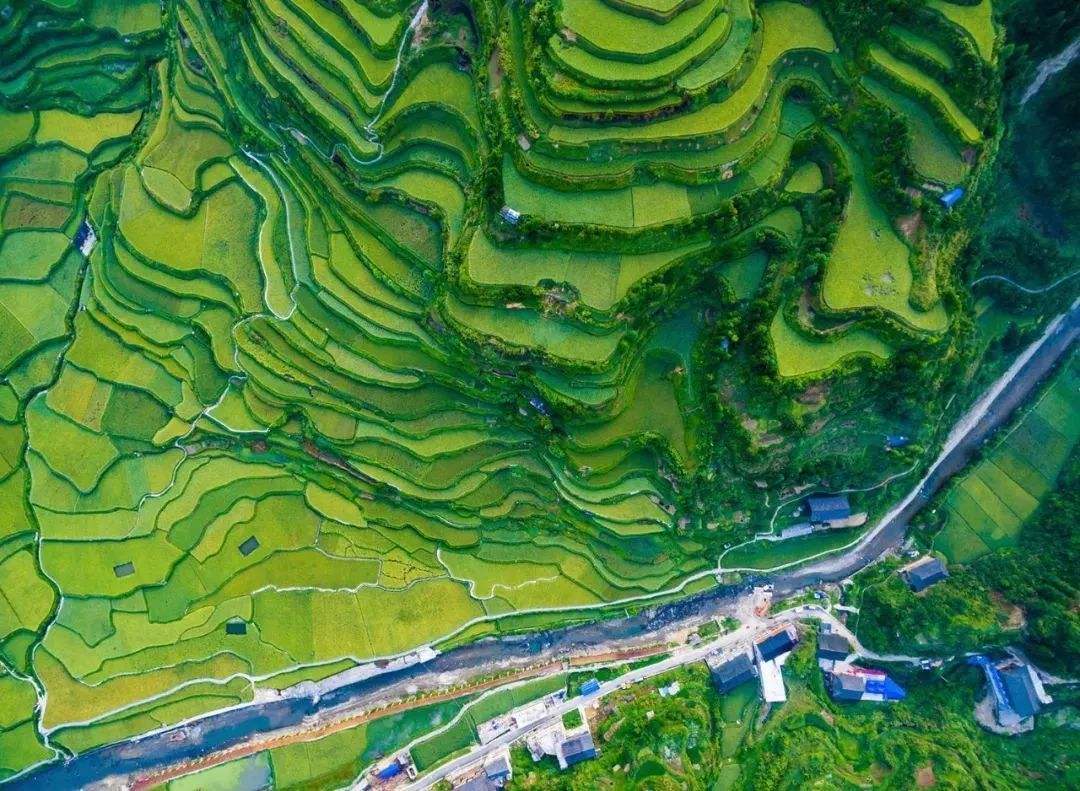 高质量发展看中国丨不仅是发电站更是生态枢纽 中国大坝的绿色蜕变