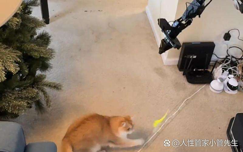 破解“AI +家政”障碍