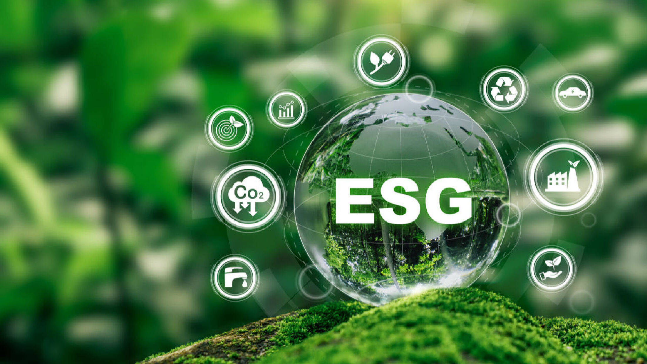 【ESG动态】*ST太和(605081.SH)获华证指数ESG最新评级C,行业排名第141