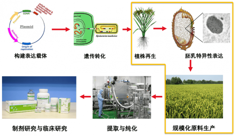 网络强国：从并跑到领跑