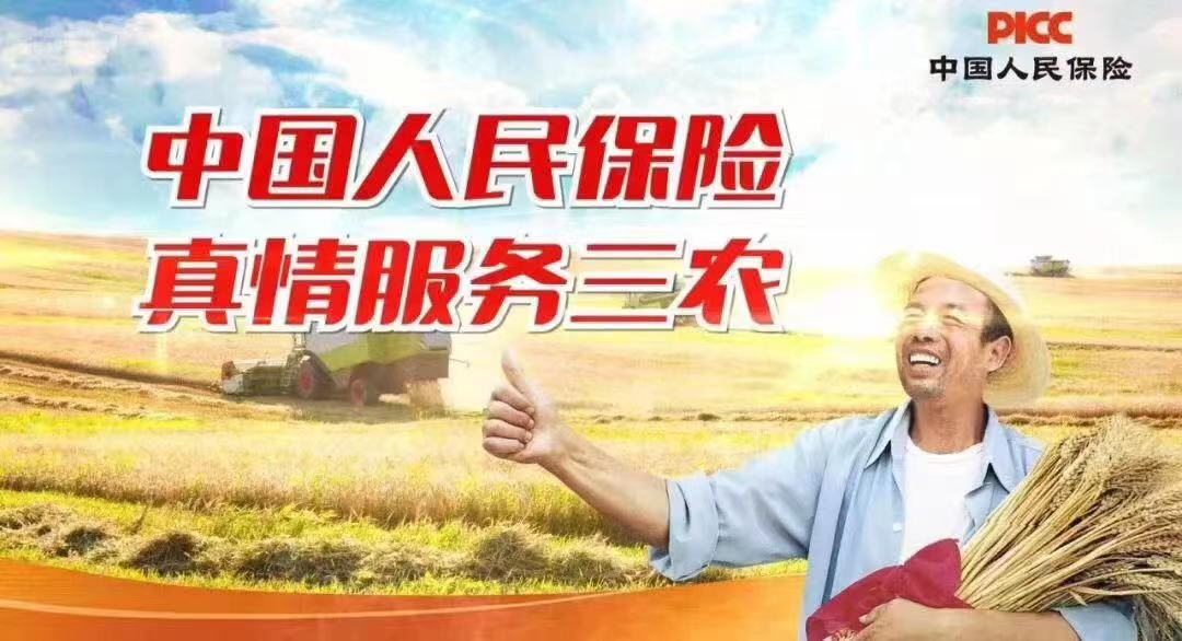 2025-2030年中国环保产业园区发展规划及招商引资咨询报告_人保财险政银保 ,人保车险