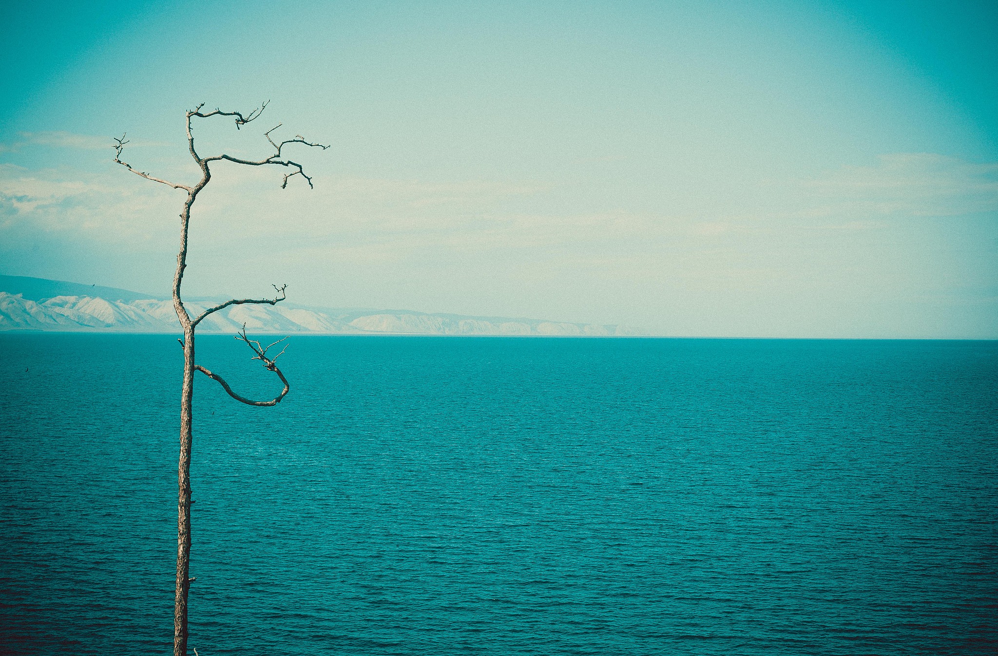 十月行记｜来到北方水乡，我错觉自己在江南