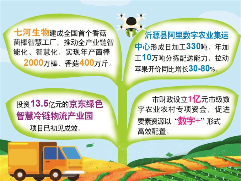 申通快递：三季度营收利润双增 反内卷+数智化赋能驱动高质量发展