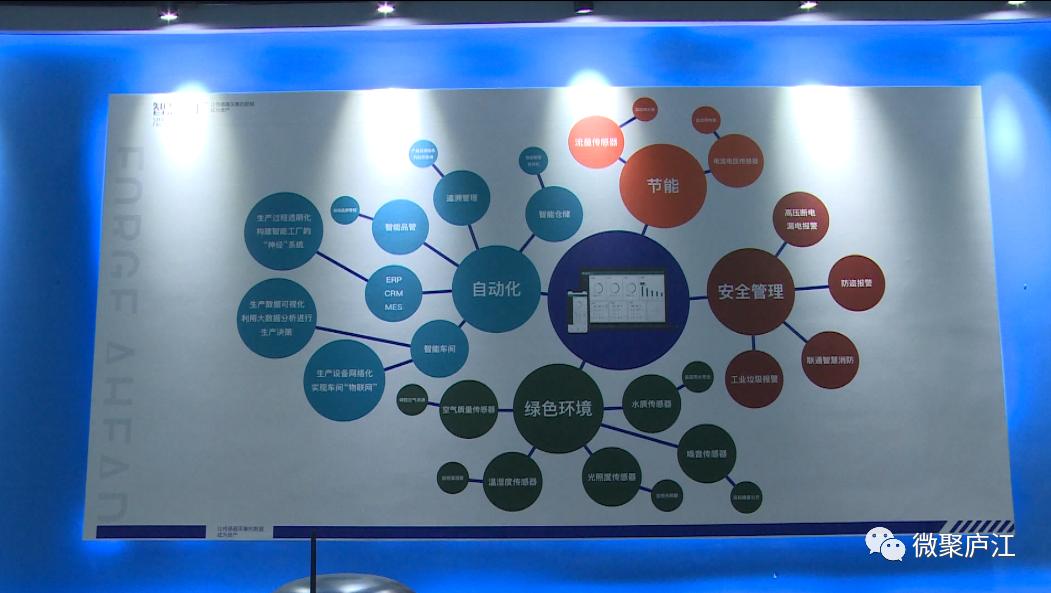 制度优化赋能资本良性循环