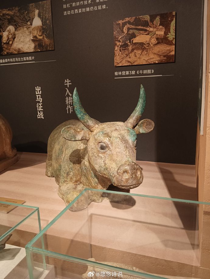 探秘贺兰山下的‘桃花石’――西夏文物精品展
