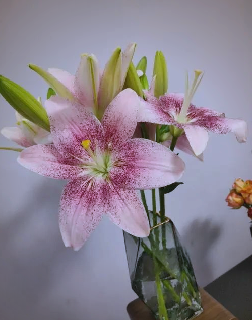 百合花龙虎榜数据(10月31日)
